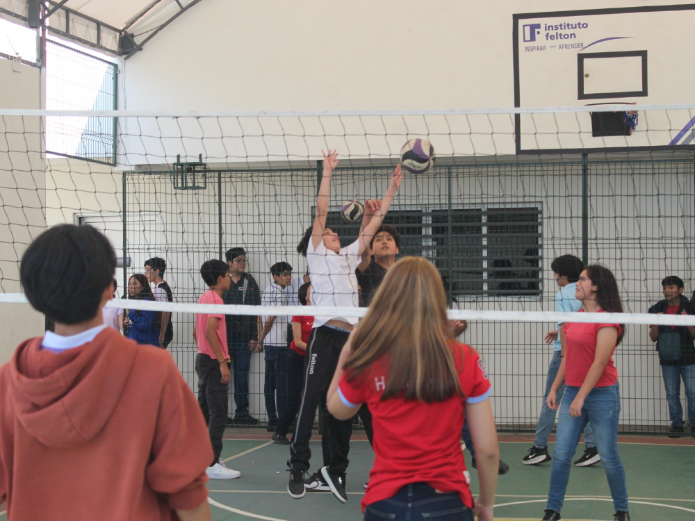 Campus Felton